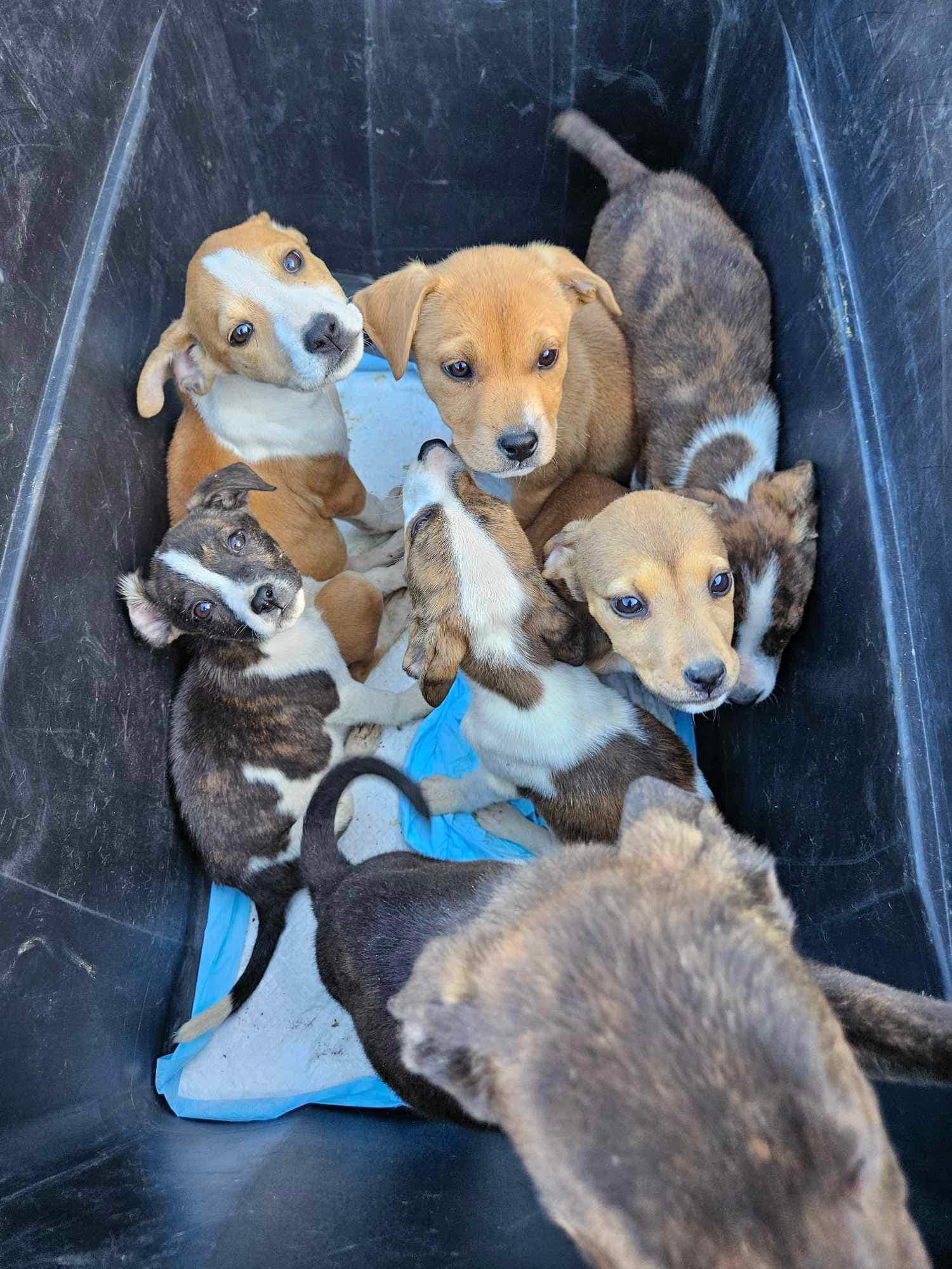 Idaho Hikers Stumble Upon A Box In The Wilderness And Realize Help Is Urgent