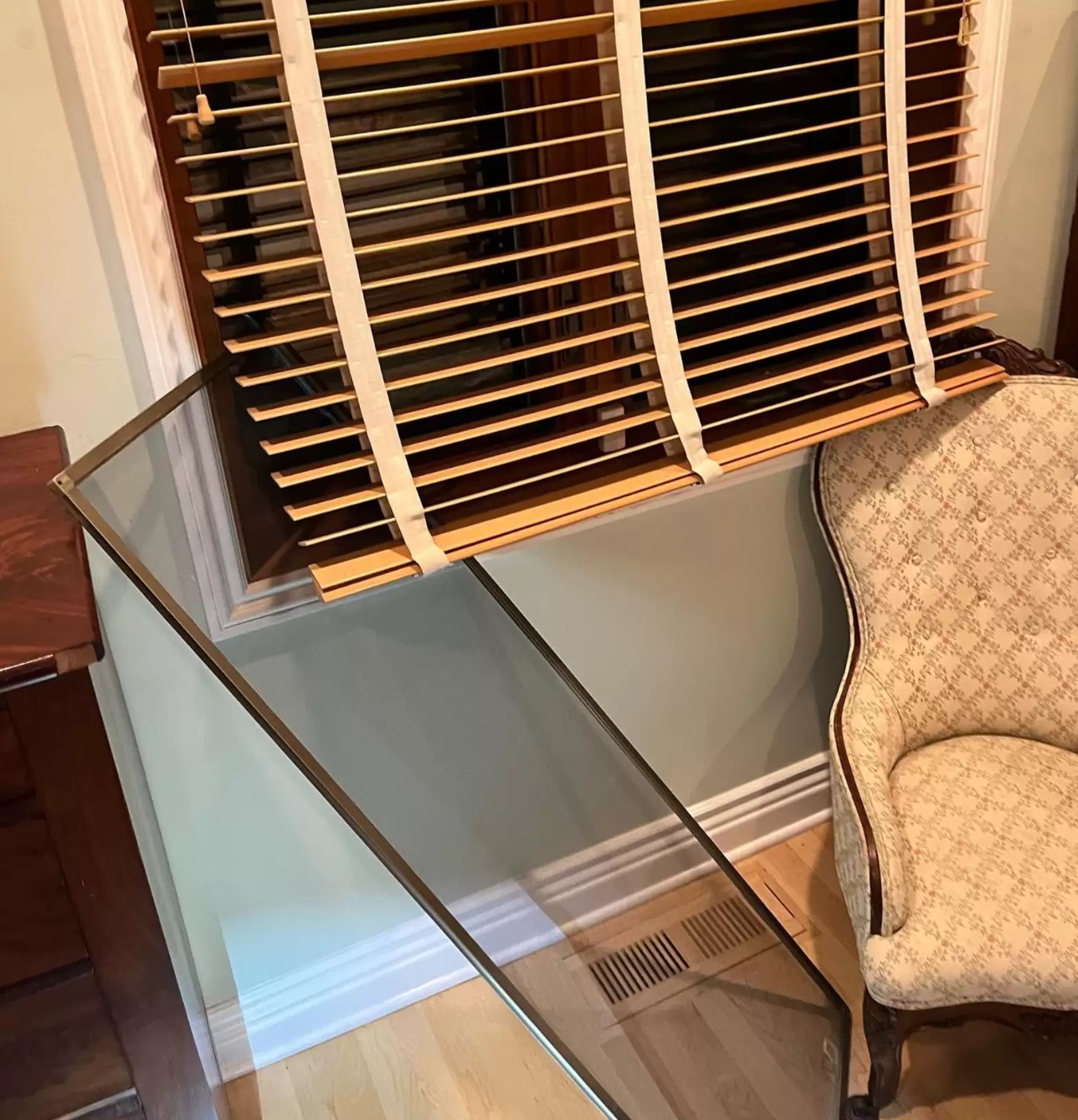 California Woman’s Quiet Night Turns Chaotic After An Unexpected Wild Visitor