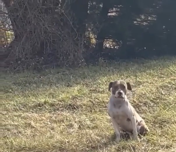 Illinois Team Steps Into Darkness Of Abandoned Home And Finds A Lonely Presence Within