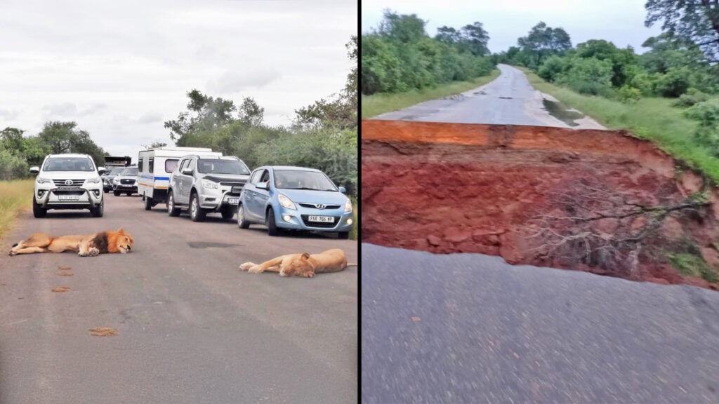 Kruger Flood Damage Exceeds $30m – Here’s What We Know