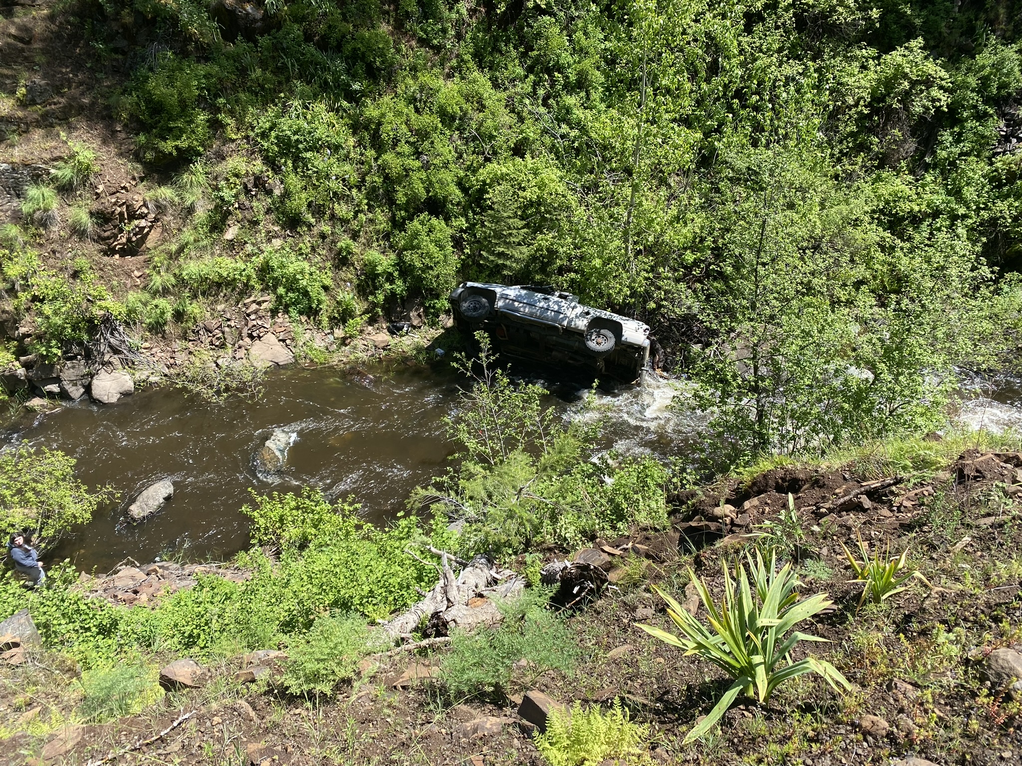 Heroic Dog Travels Four Miles To Get Help For His Injured Human In Oregon