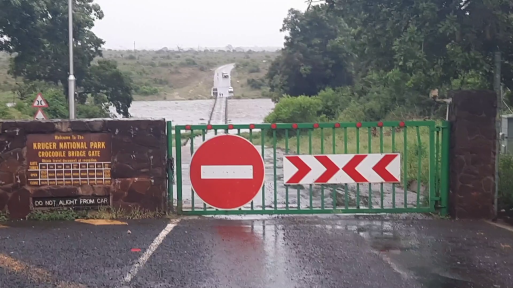 Kruger: Crocodile Bridge Gate to Reopen as Flooding Subsides