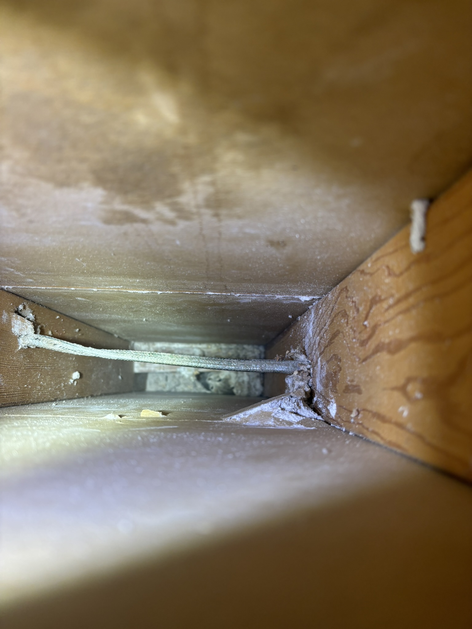 California Homeowner’s Search For Strange Sounds In The Walls Leads To An Unexpected Discovery