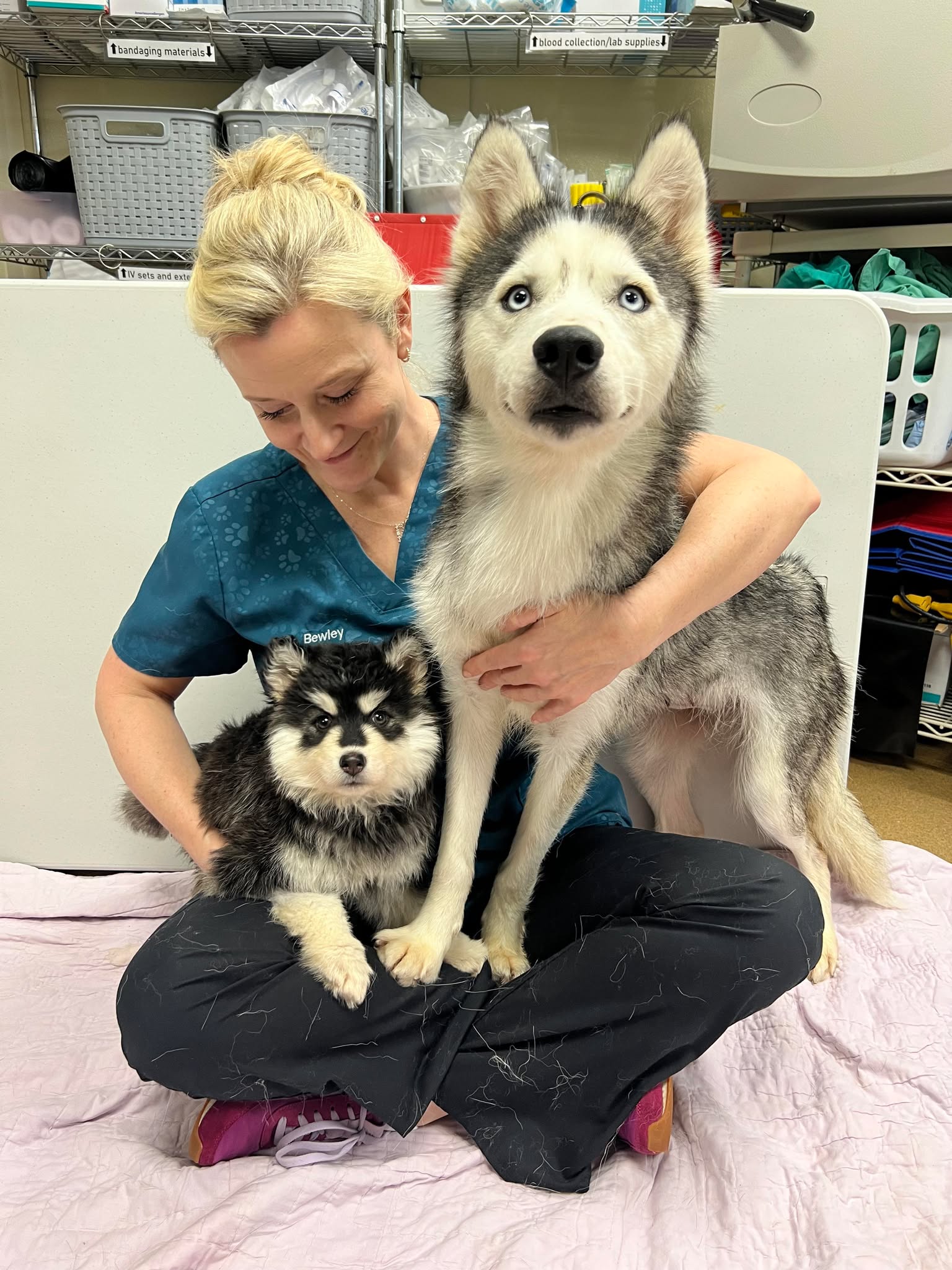 Kentucky Mama Dog Cries In Distress When Separated From Her Only Puppy During Rescue