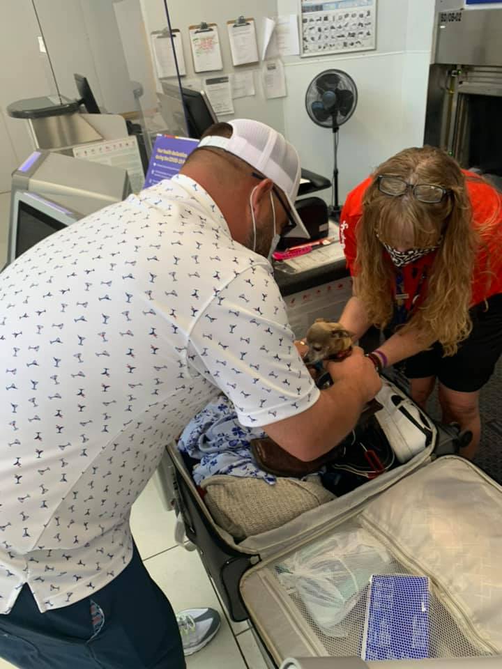 Texas Couple Preparing For Flight Discovers Unexpected Passenger Hidden Among Their Clothes