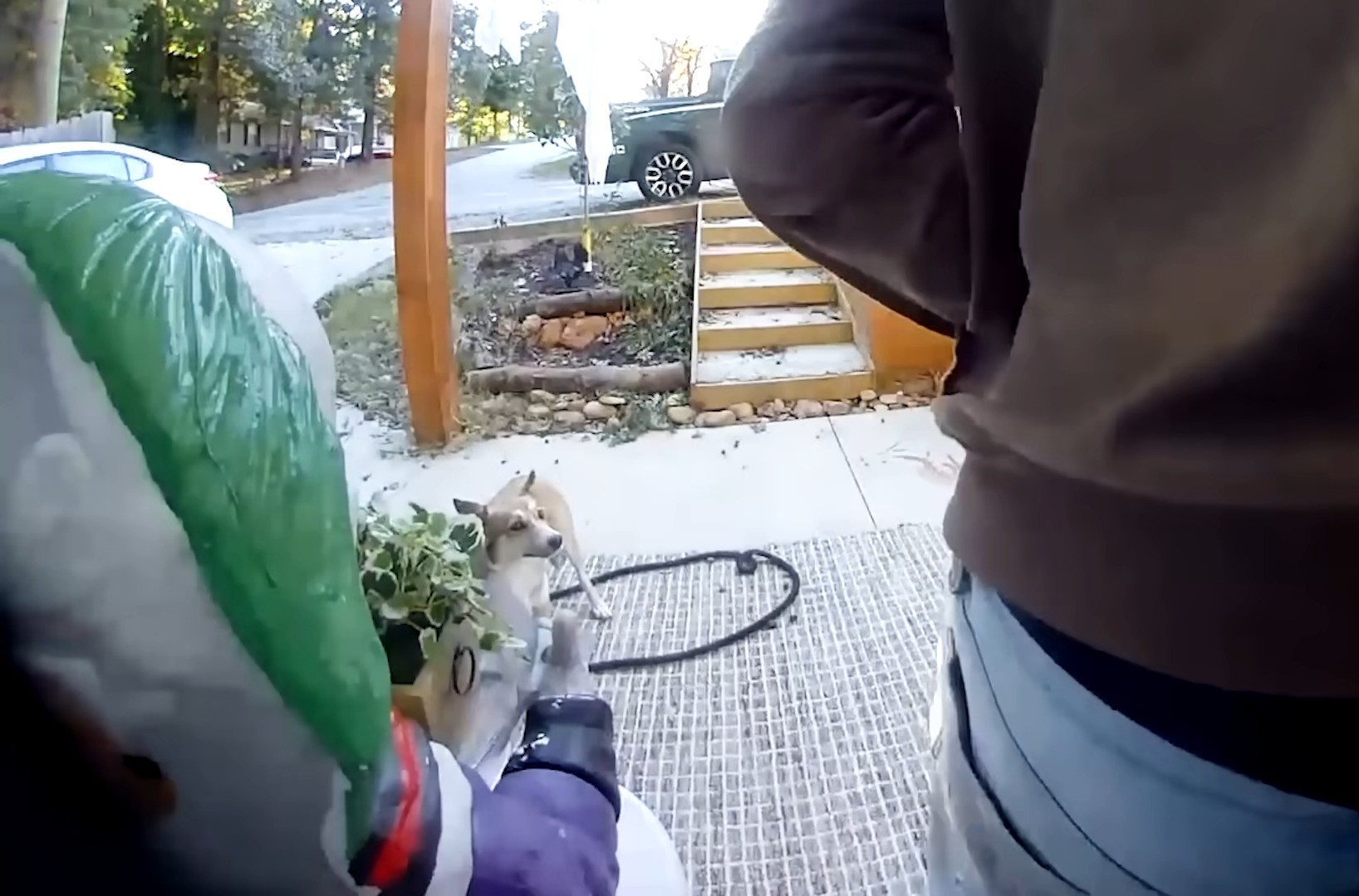 South Carolina Couple Spotted A ‘Coyote’ Following Them Home Only To Realize It Was Something Else Entirely