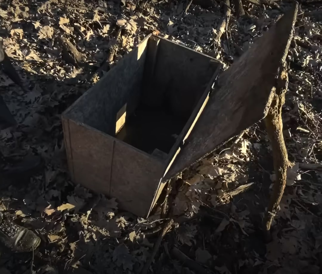 Missouri Lake Trip Turns Into Wildlife Rescue After Kayakers Spot Odd Box In Mud