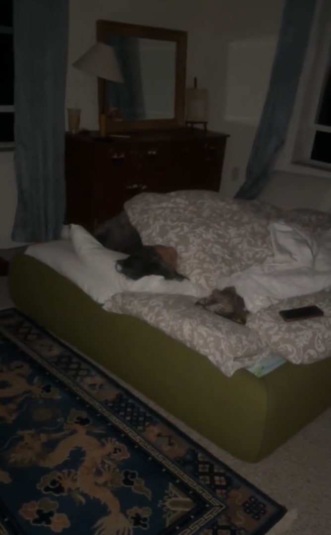 Florida Couple’s Bedtime Secret For Their Senior Dog Melts Millions Of Hearts