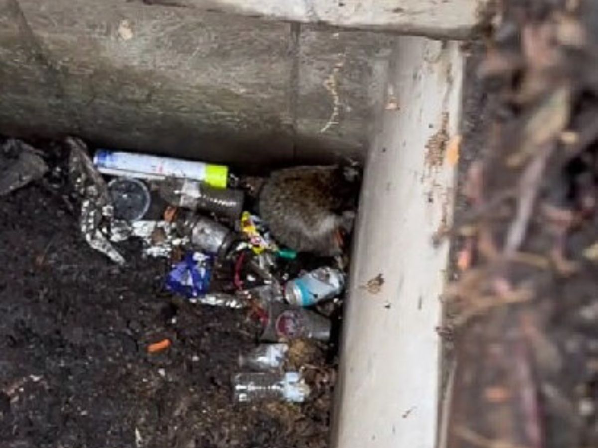 New York Man Hears Strange Cries From Below The Street And Makes A Shocking Discovery