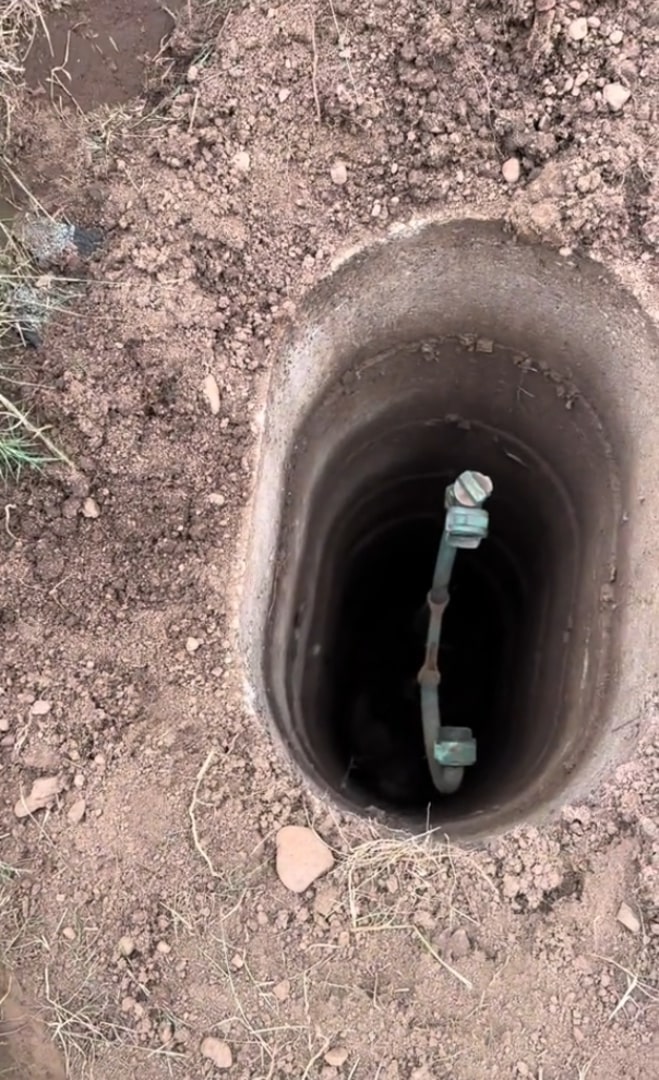 New York Wildlife Team Investigates Strange Sounds From A Well And Saves A Frightened Creature