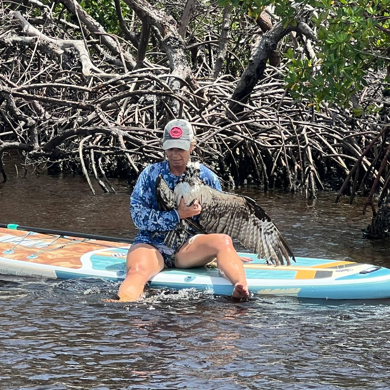 Florida Paddleboarder Spots Feathers Floating In Water But Then Something Shocking Happened
