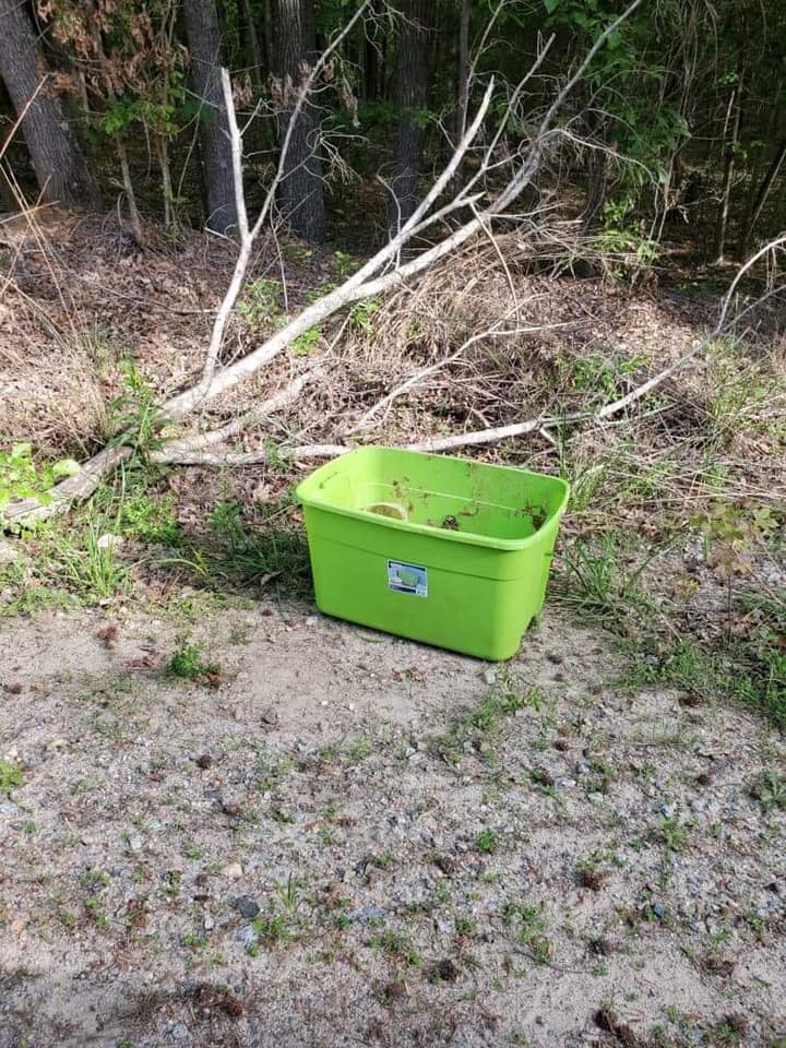 Man In North Carolina Observes Activity Inside A Box And Makes An Unexpected Find