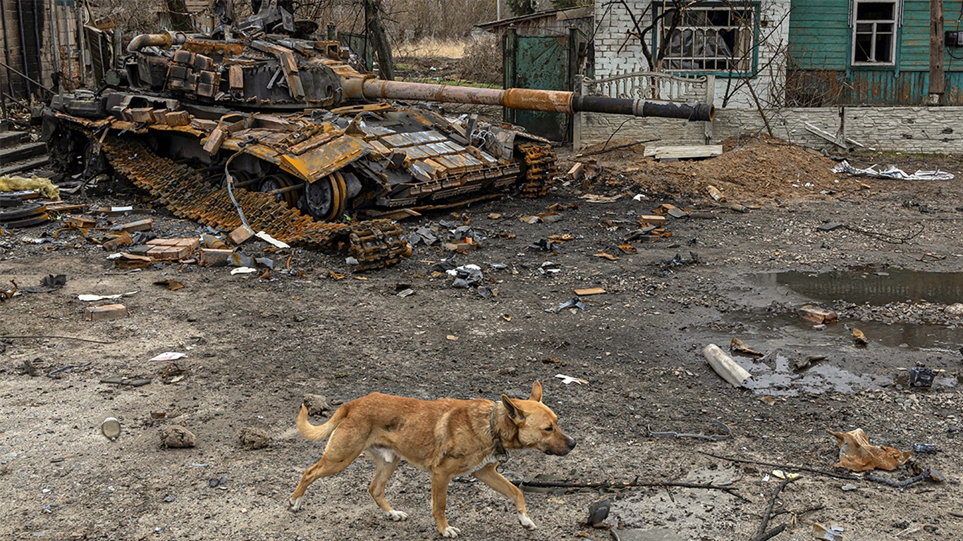 Emergency relief for animals during conflicts and natural disasters