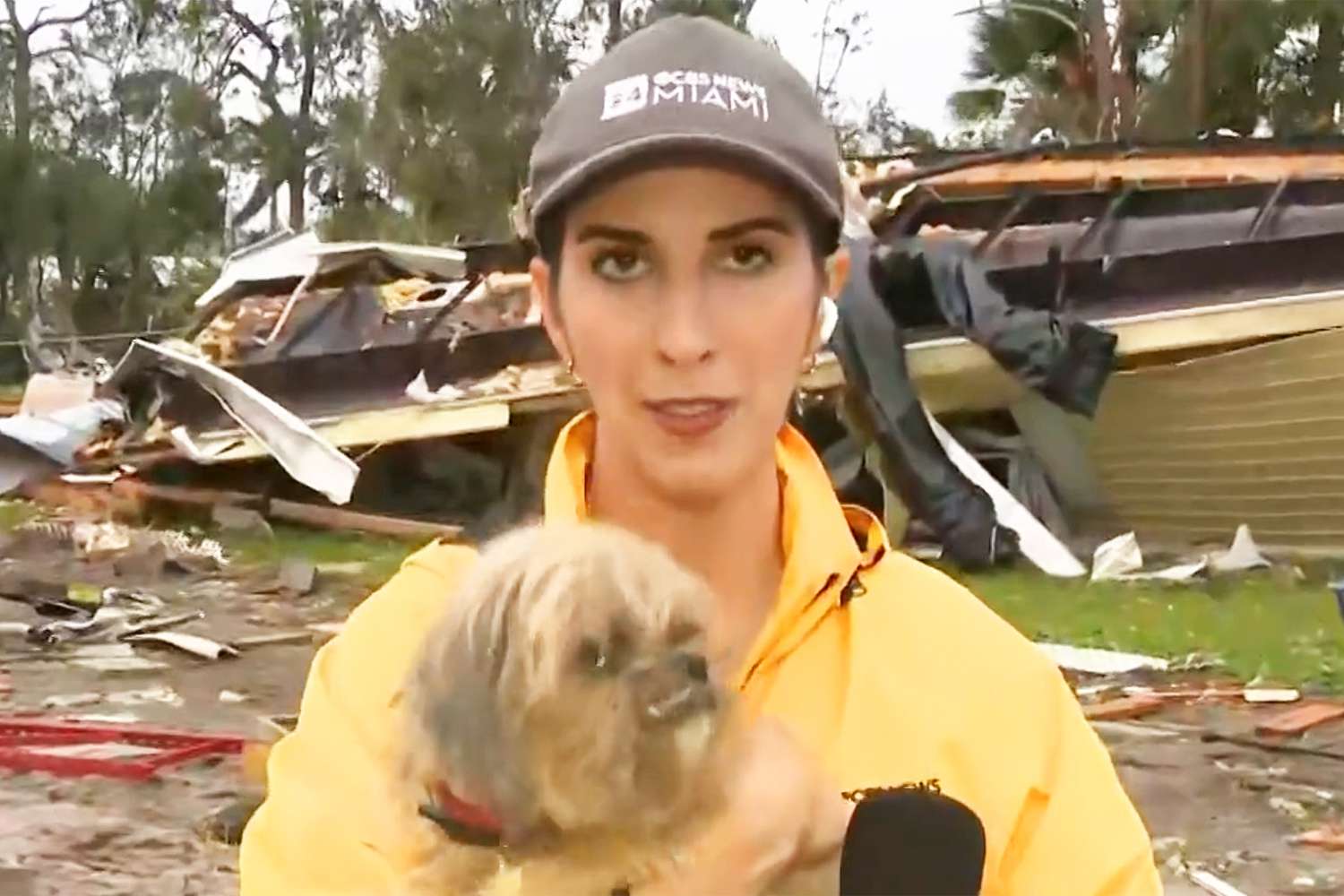 Dog Gets 'Miracle' Rescue from Hurricane Milton Debris During News Broadcast in Florida