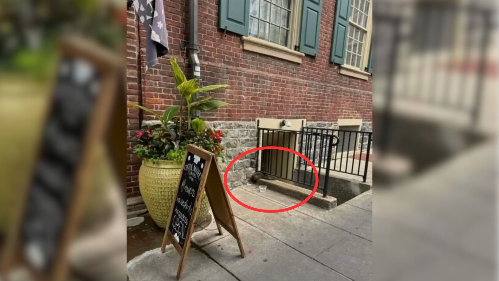 Couple Shocked To Find A Fuzzy Animal Trapped In The Most Unexpected Place