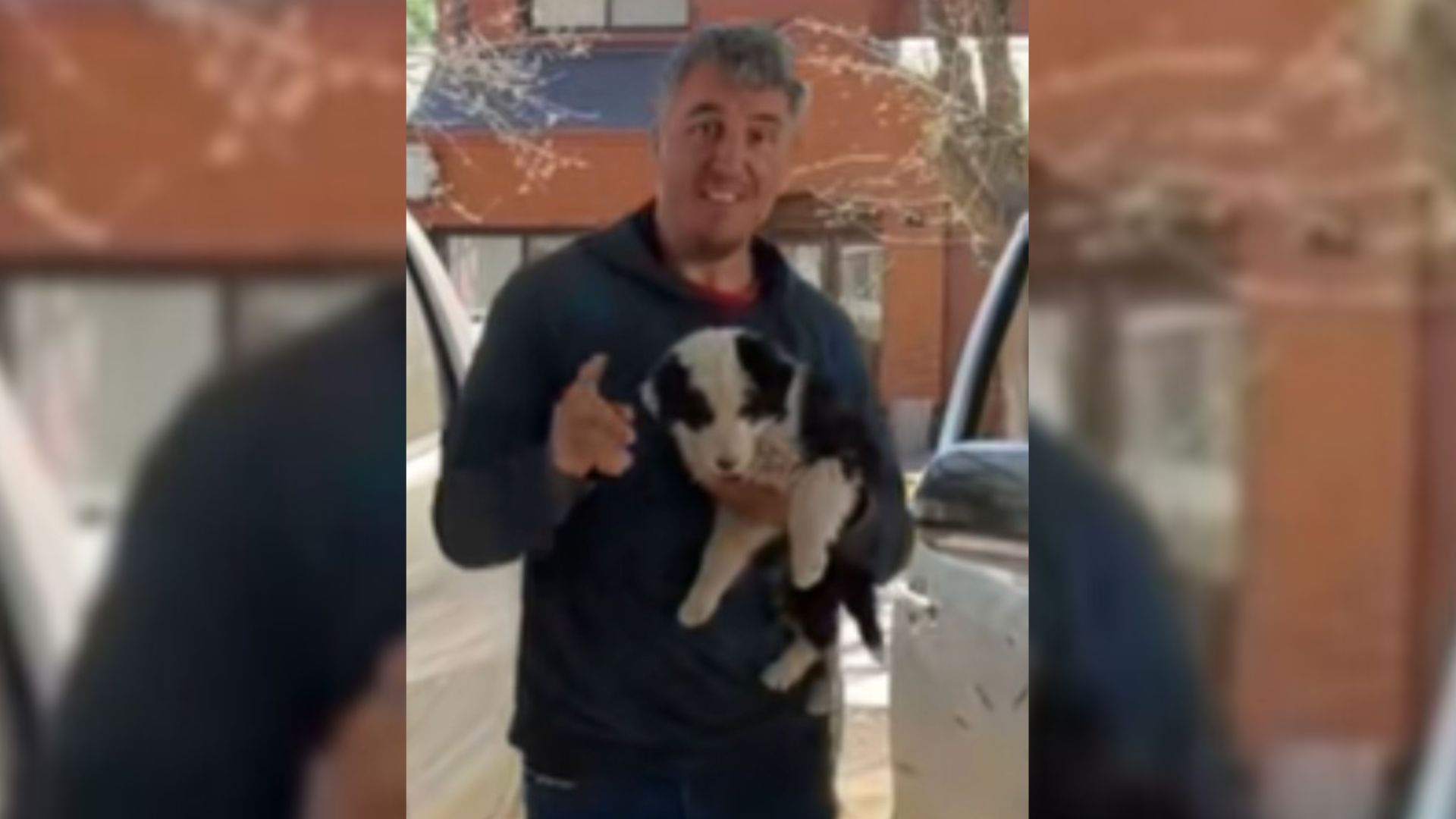 Man Who Adopted A Puppy Brought Home His Brother Too As He Didn’t Have The Heart To Leave Him Behind